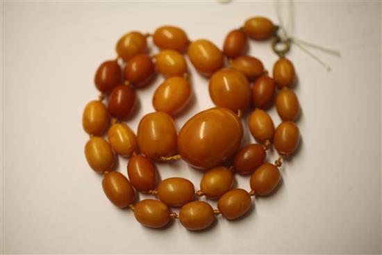 A single strand graduated amber bead necklace, 24in.